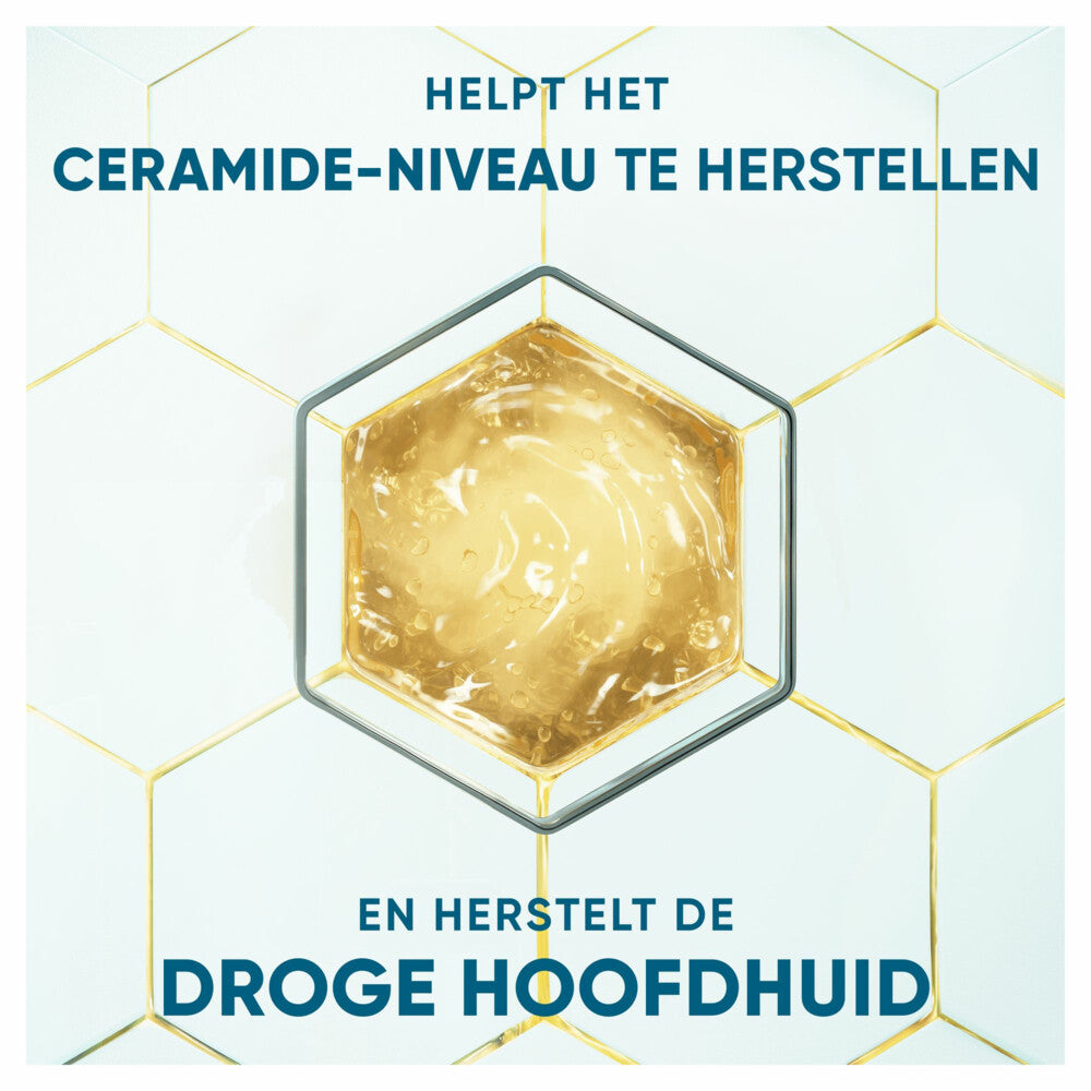 Head & Shoulders Anti-roos Shampoo DERMAxPRO Revitaliseert 250 ml